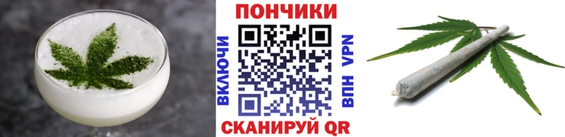 Купить Бакал Canna-Cookies марихуана