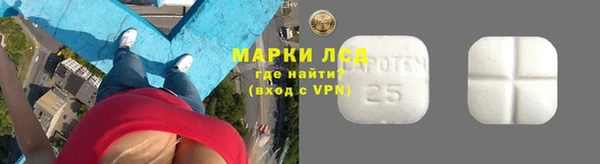 ешки Алексин
