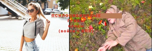 ешки Алексин