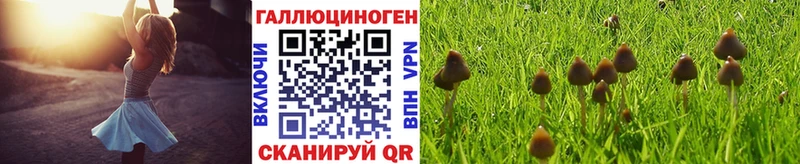 Галлюциногенные грибы мицелий  Купить  Бакал 